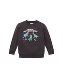 Sudadera de niño sin capucha