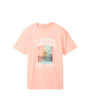 Camiseta de niño de manga corta 100% algodón con estampado